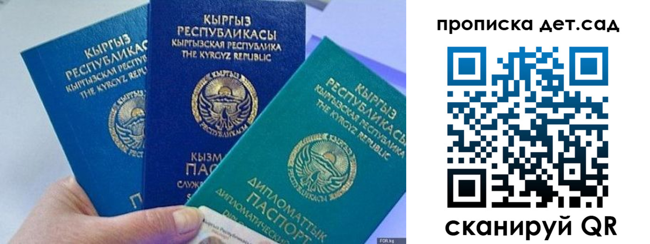 где прописаться в Новоузенске
